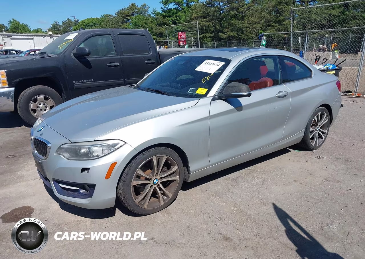 2015 BMW 228I xDrive VIN:WBA1F7C56FVX95888 - 2