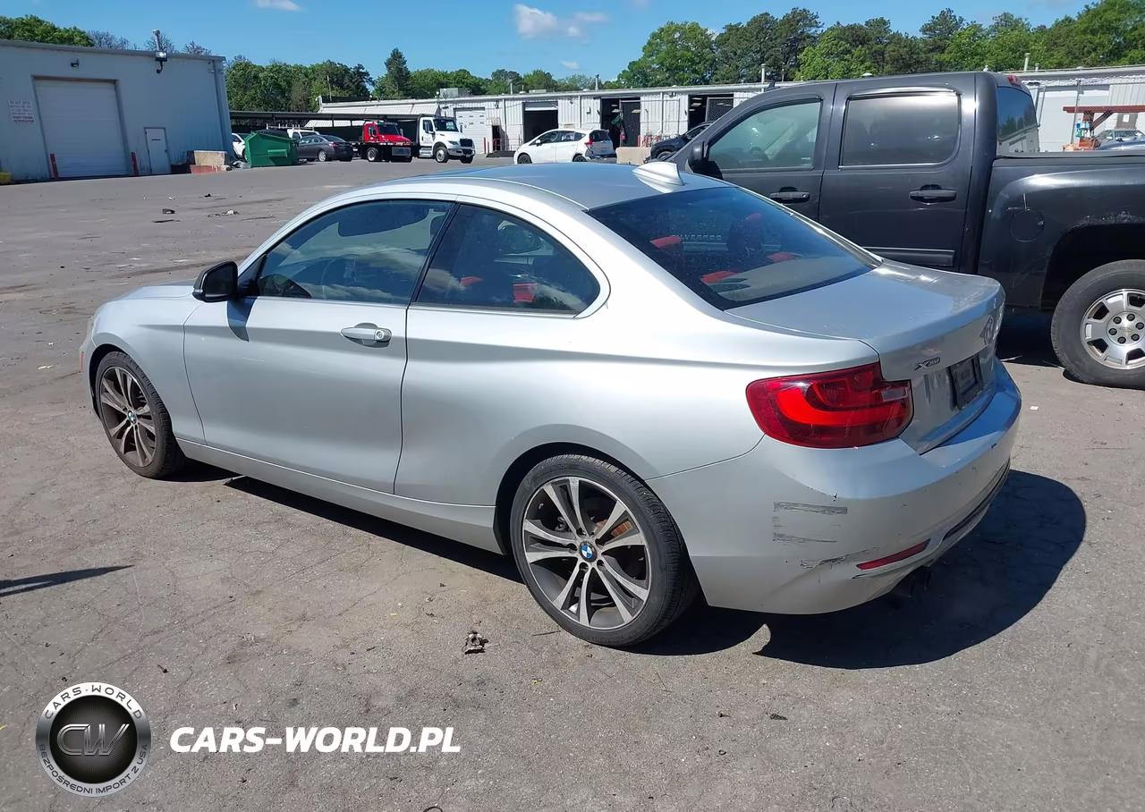 2015 BMW 228I xDrive VIN:WBA1F7C56FVX95888 - 3