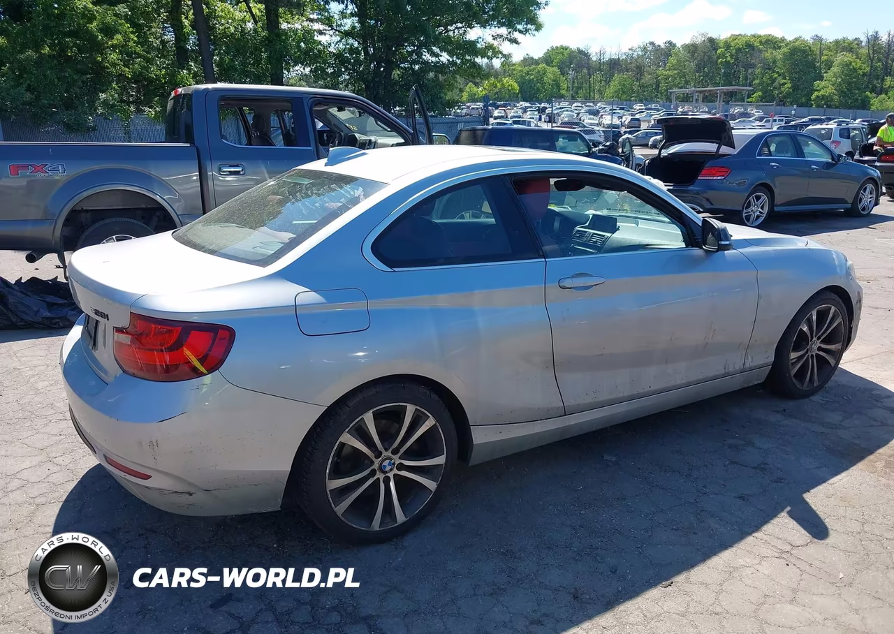2015 BMW 228I xDrive VIN:WBA1F7C56FVX95888 - 4