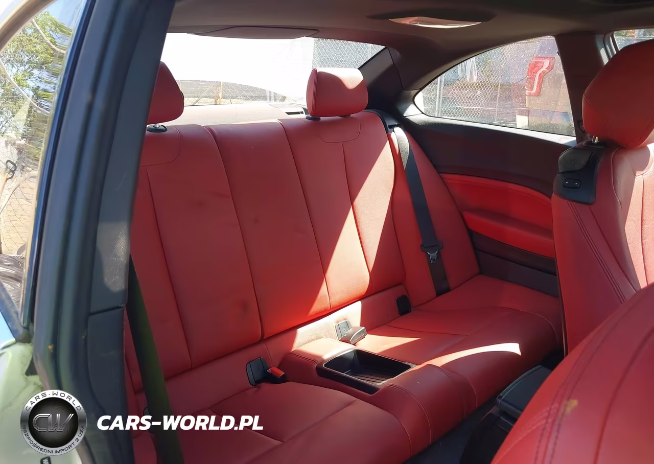 2015 BMW 228I xDrive VIN:WBA1F7C56FVX95888 - 8