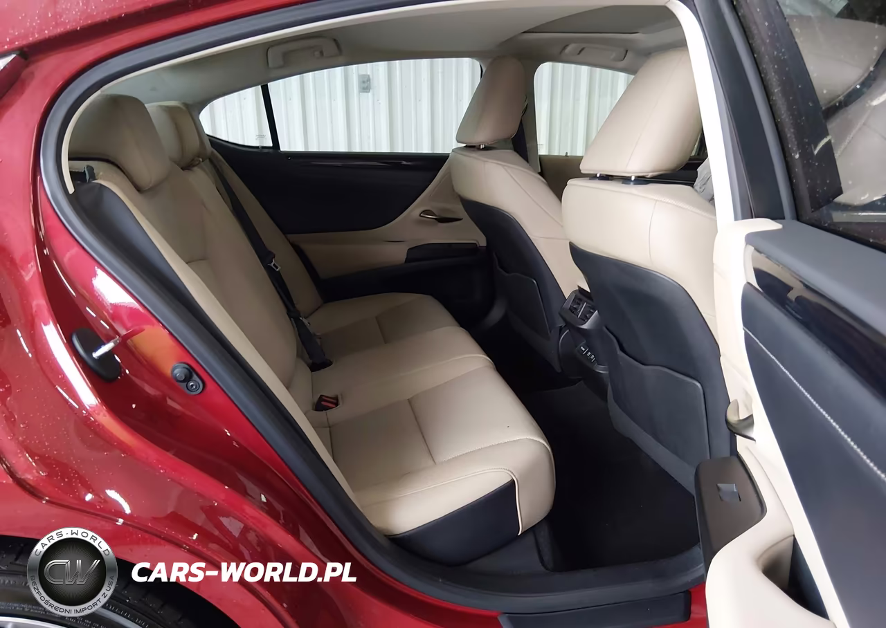 2020 Lexus Es 350 VIN:58ADZ1B15LU077743 - 8