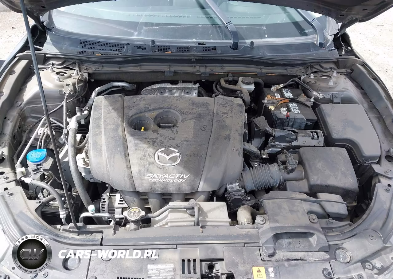 2014 Mazda Mazda3 I Touring VIN:JM1BM1L72E1161091 - 10