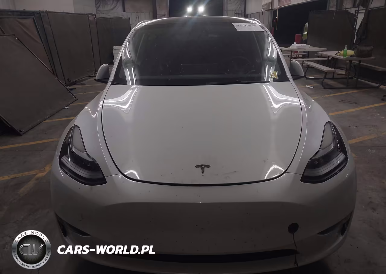 2023 Tesla Model Y VIN:7SAYGDEE3PF608085 - 10