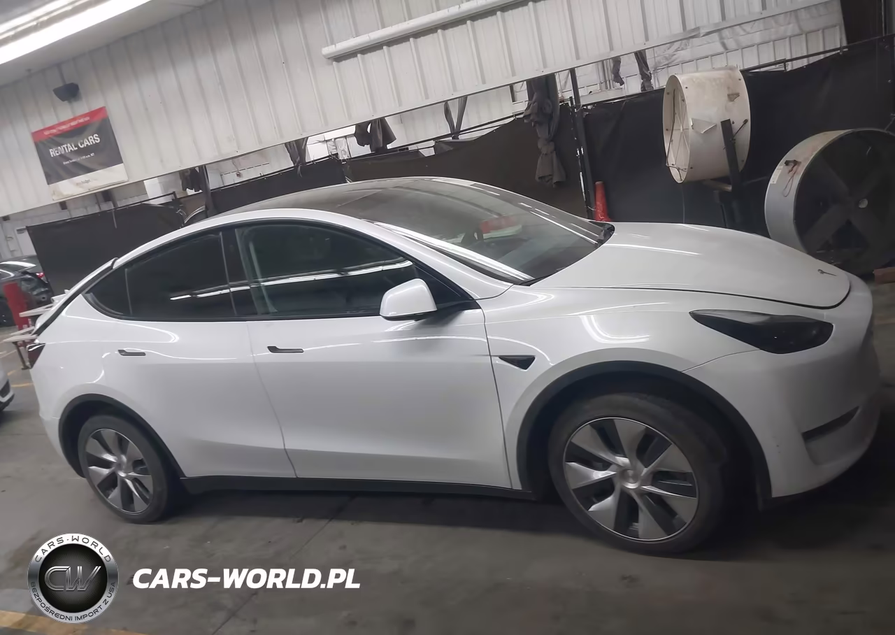 2023 Tesla Model Y VIN:7SAYGDEE3PF608085 - 11