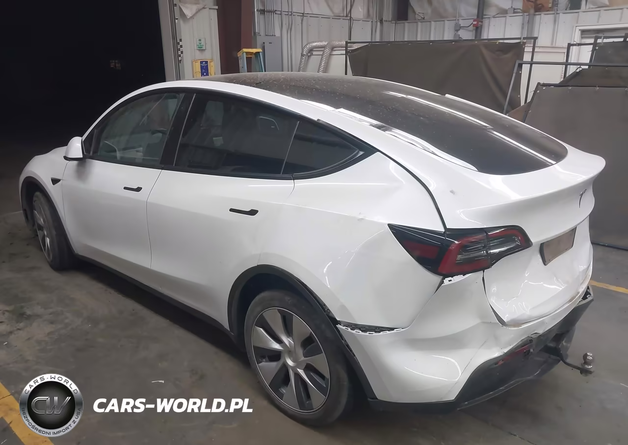 2023 Tesla Model Y VIN:7SAYGDEE3PF608085 - 3