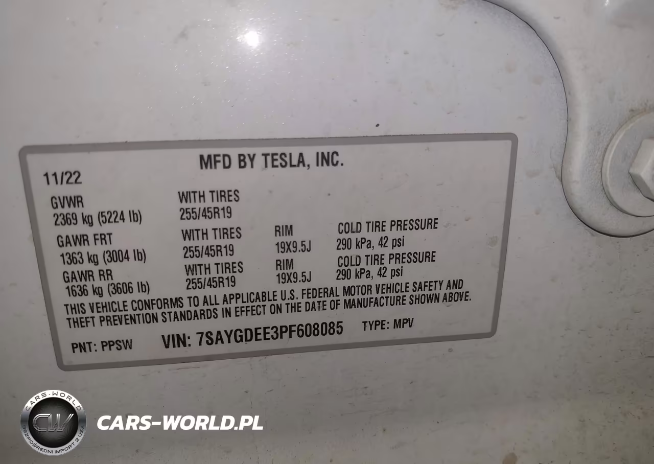 2023 Tesla Model Y VIN:7SAYGDEE3PF608085 - 9