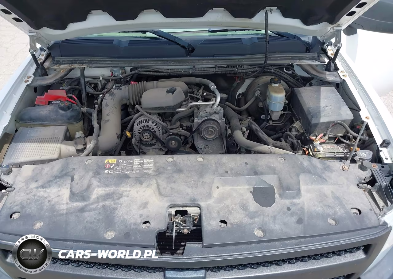 2012 Chevrolet Silverado 1500 Work Truck VIN:1GCNCPEXXCZ135790 - 10
