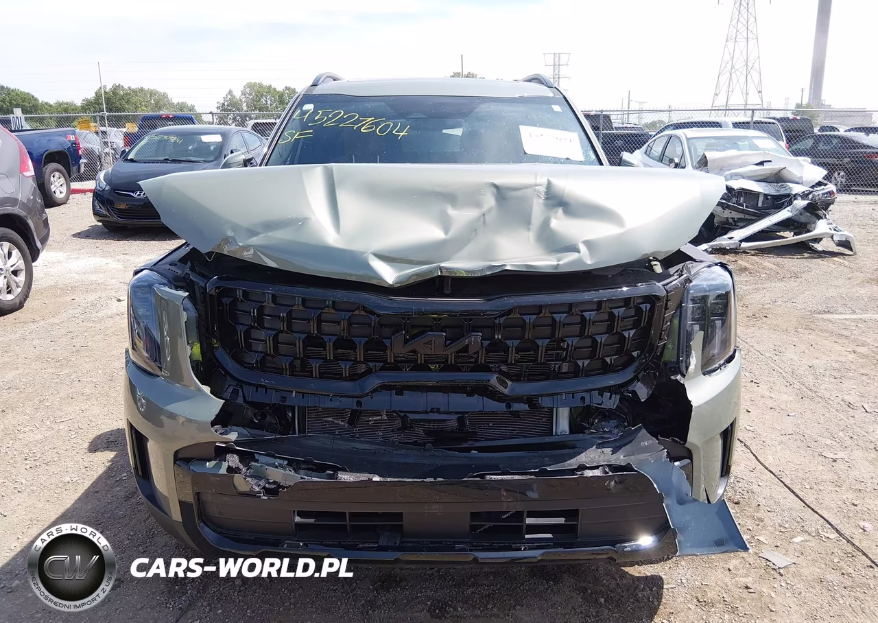 2025 Kia Telluride Ex X-Line VIN:5XYP3DGC8SG623781 - 12