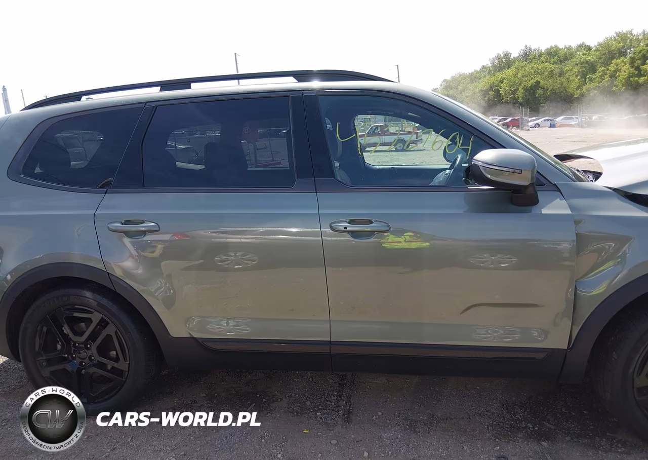 2025 Kia Telluride Ex X-Line VIN:5XYP3DGC8SG623781 - 13