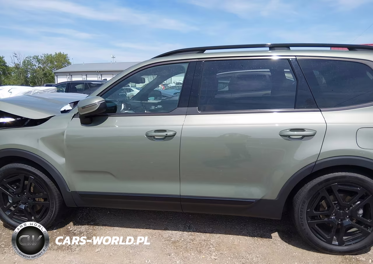 2025 Kia Telluride Ex X-Line VIN:5XYP3DGC8SG623781 - 14