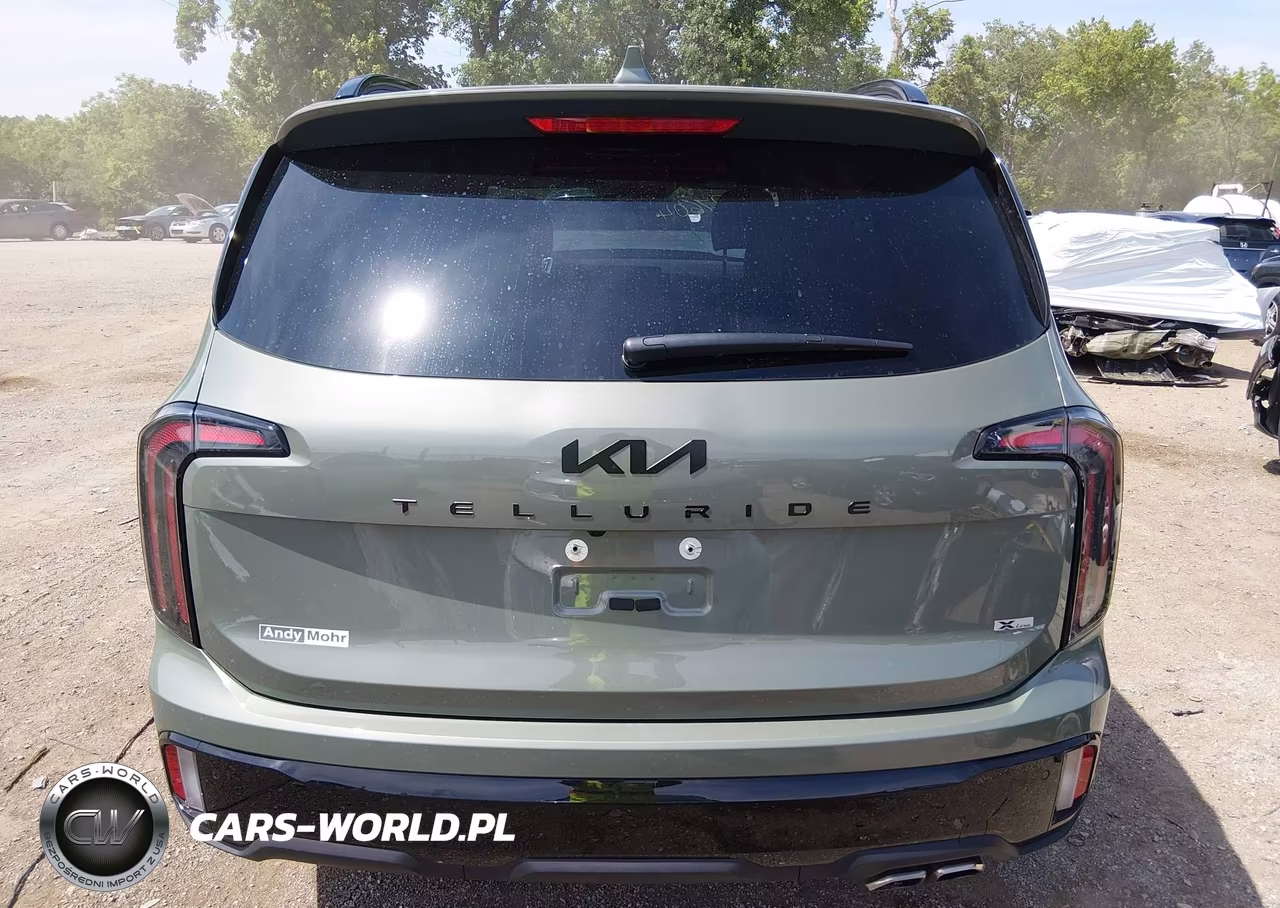 2025 Kia Telluride Ex X-Line VIN:5XYP3DGC8SG623781 - 16