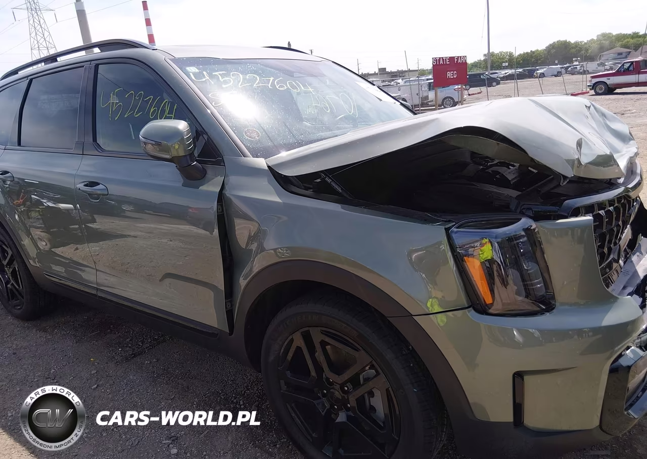 2025 Kia Telluride Ex X-Line VIN:5XYP3DGC8SG623781 - 17