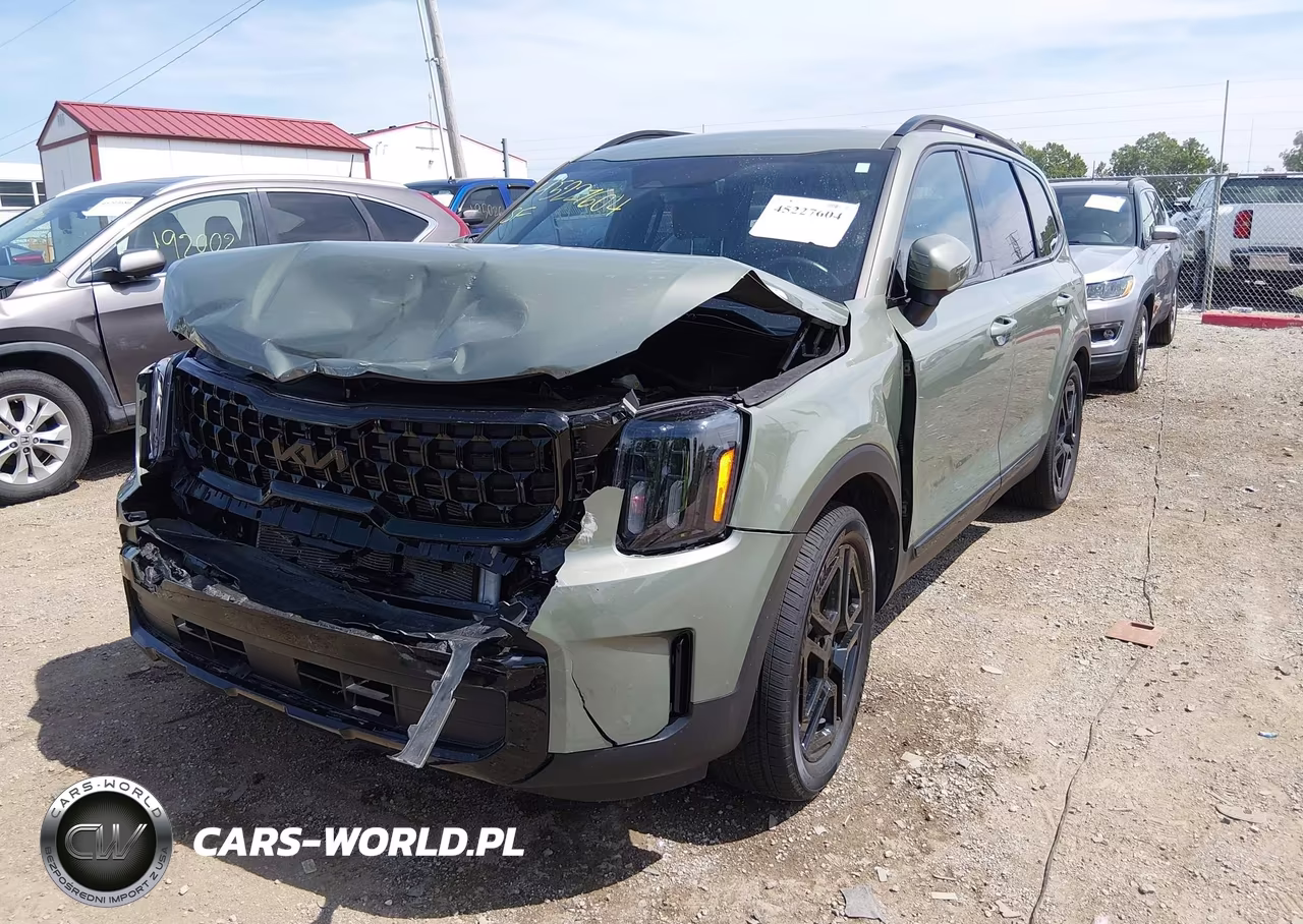 2025 Kia Telluride Ex X-Line VIN:5XYP3DGC8SG623781 - 2