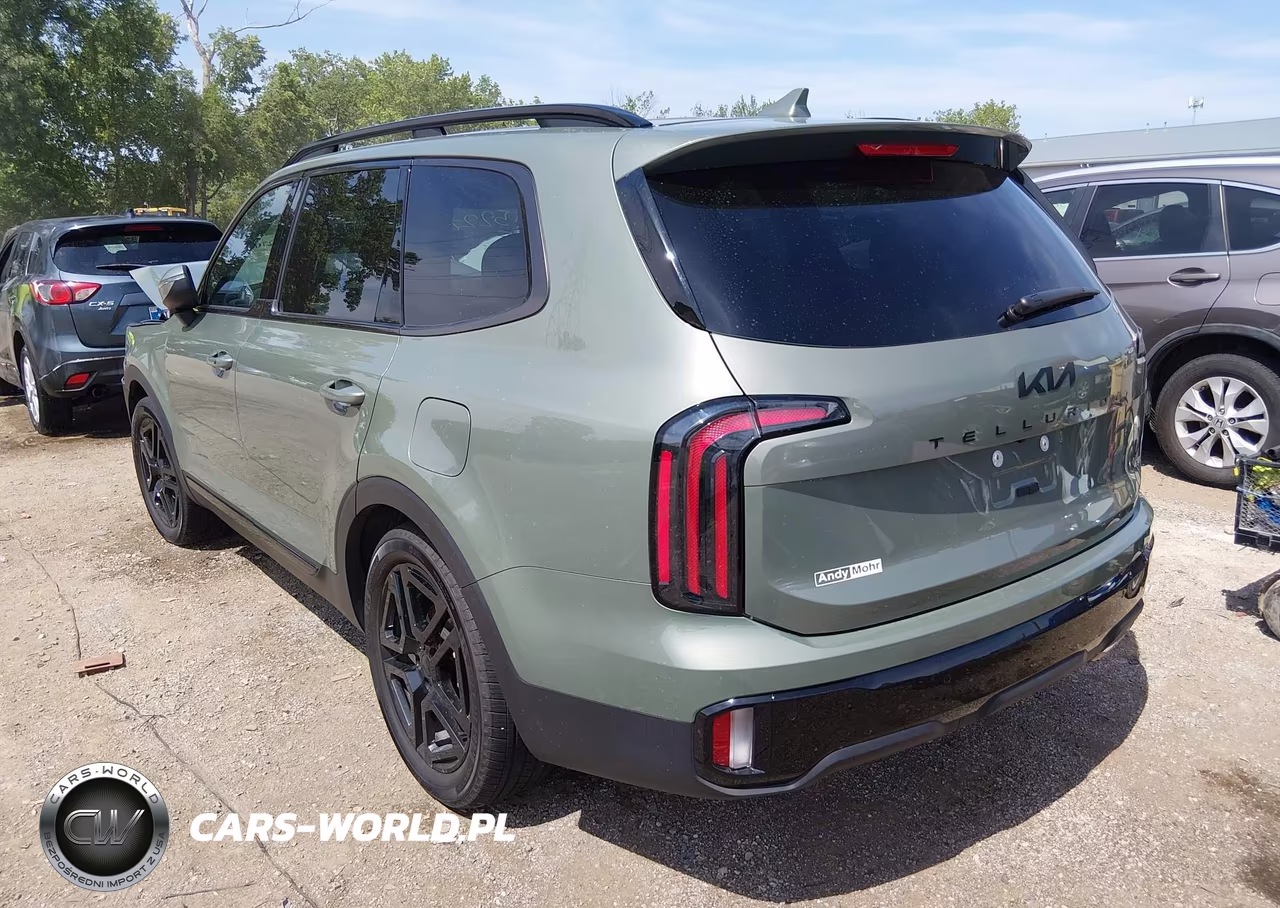 2025 Kia Telluride Ex X-Line VIN:5XYP3DGC8SG623781 - 3