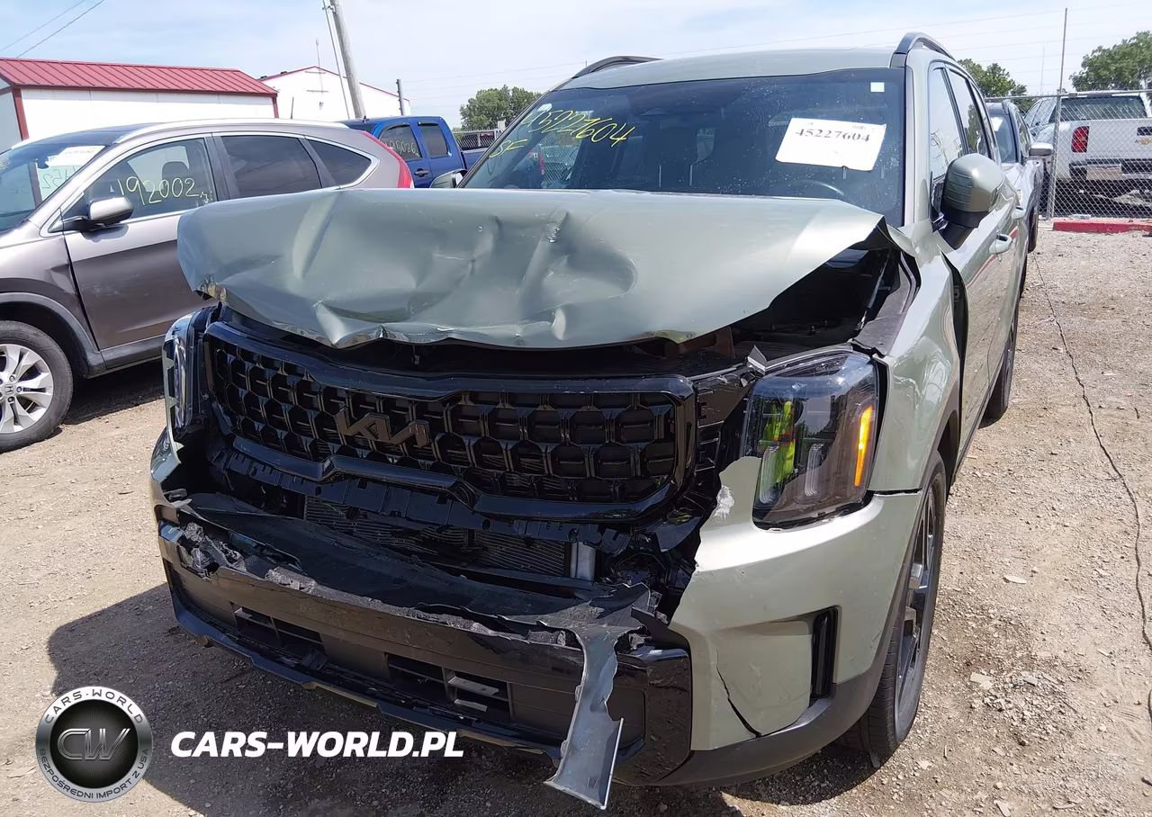 2025 Kia Telluride Ex X-Line VIN:5XYP3DGC8SG623781 - 6