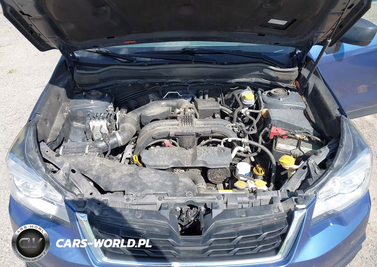 2018 Subaru Forester 2.5I VIN:JF2SJABCXJH517345 - 10
