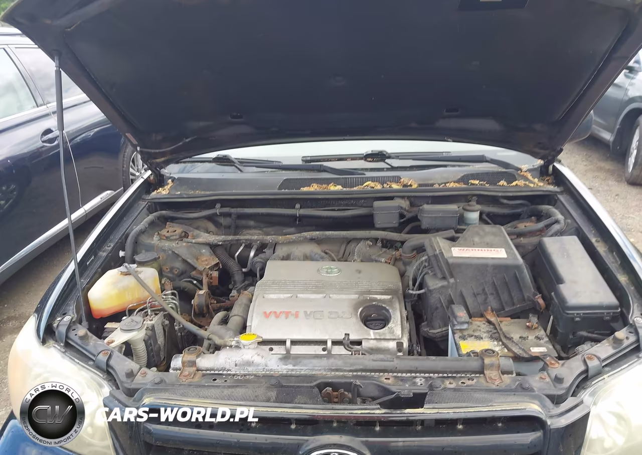 2004 Toyota Highlander V6 VIN:JTEEP21A040039192 - 10