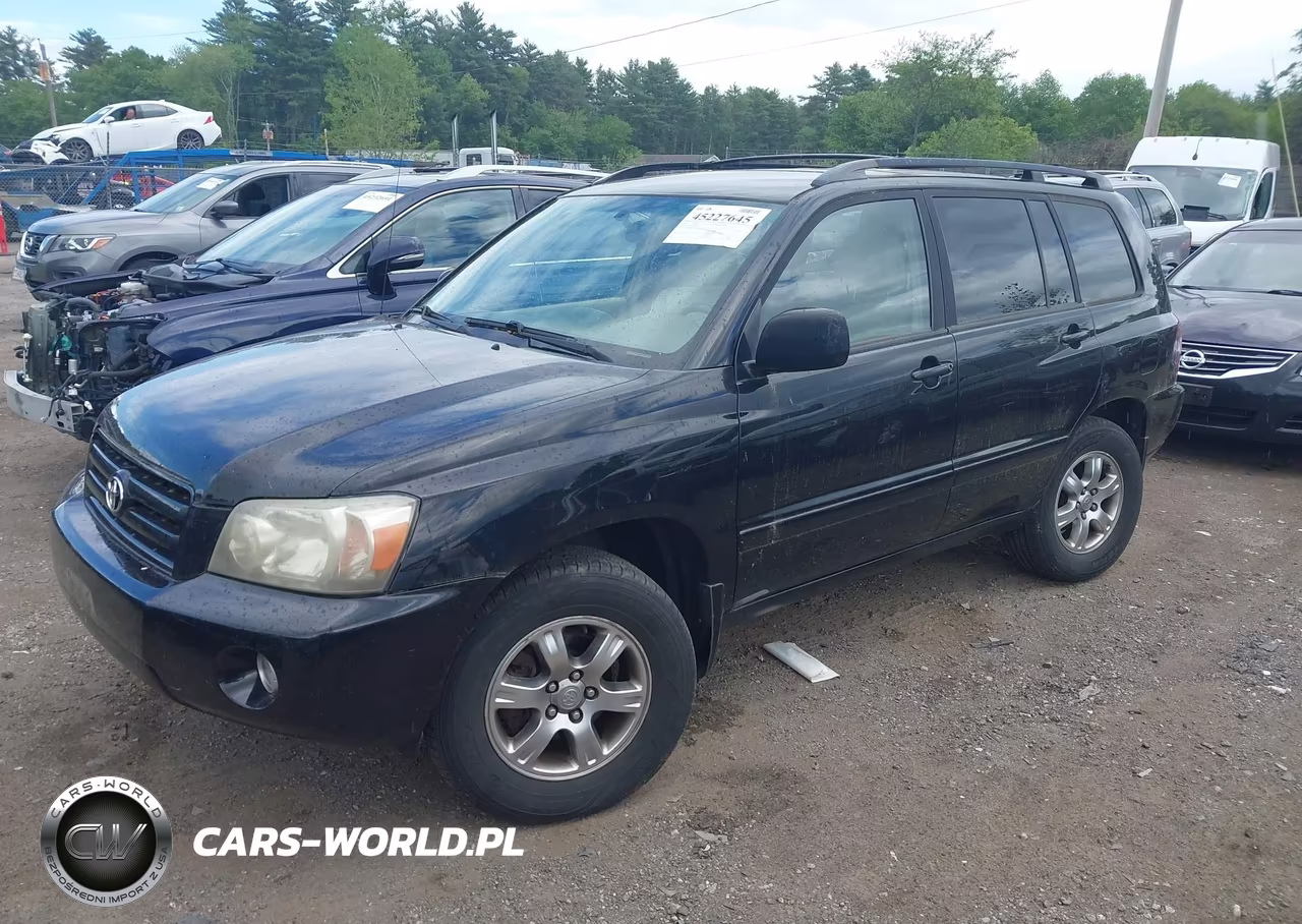 2004 Toyota Highlander V6 VIN:JTEEP21A040039192 - 2