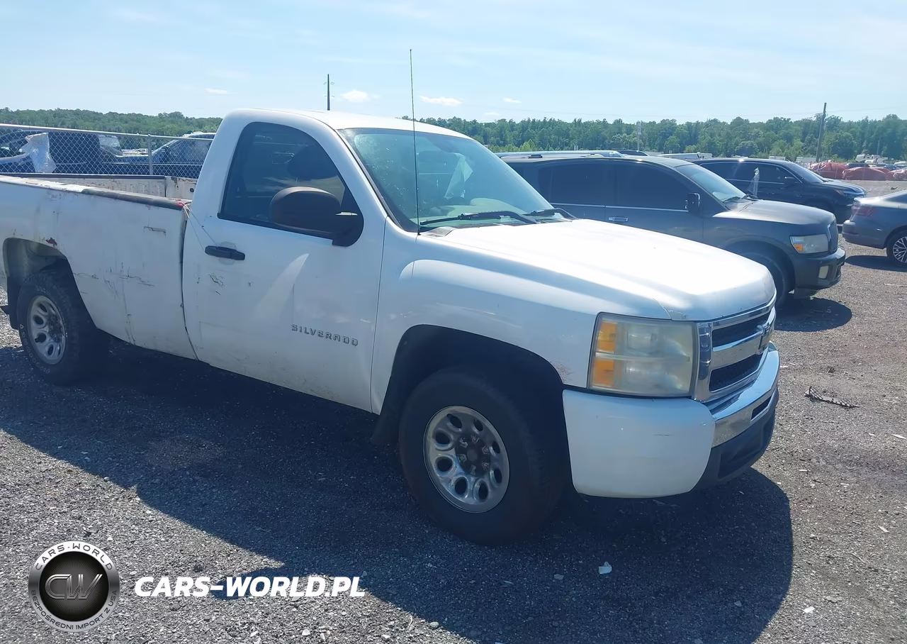 2010 Chevrolet Silverado 1500 Work Truck