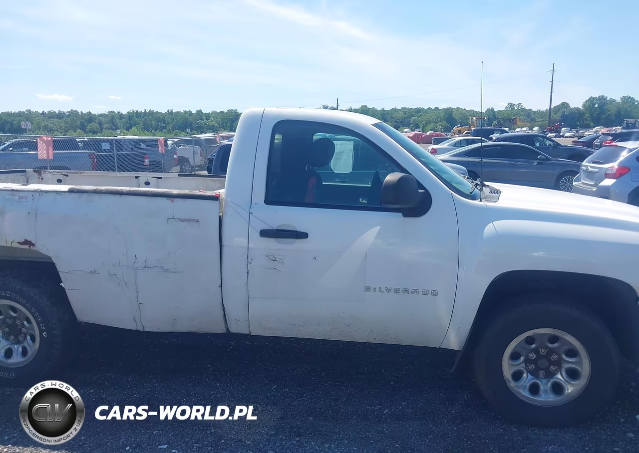 2010 Chevrolet Silverado 1500 Work Truck VIN:1GCPKPEA0AZ153378 - 13