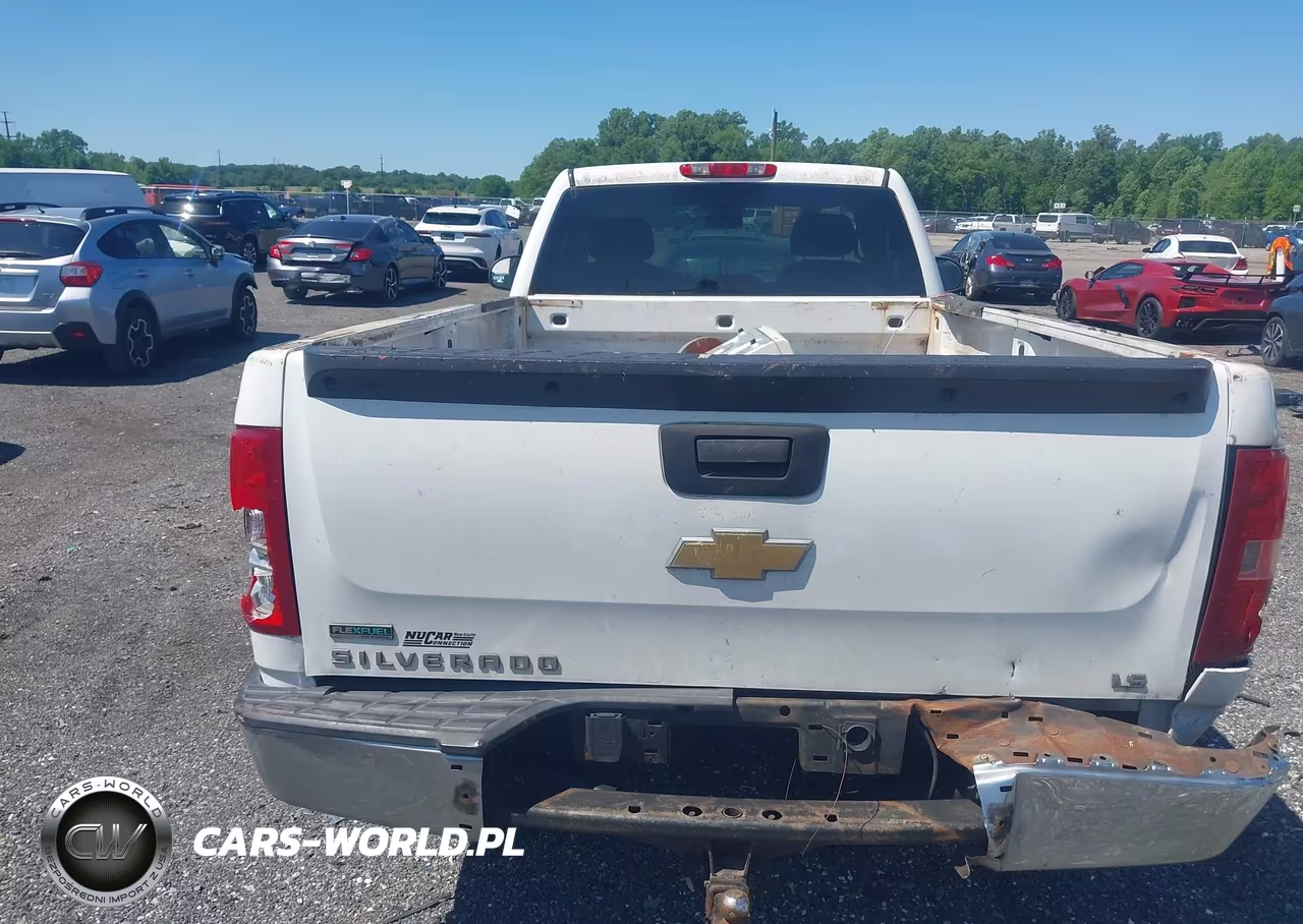 2010 Chevrolet Silverado 1500 Work Truck VIN:1GCPKPEA0AZ153378 - 16