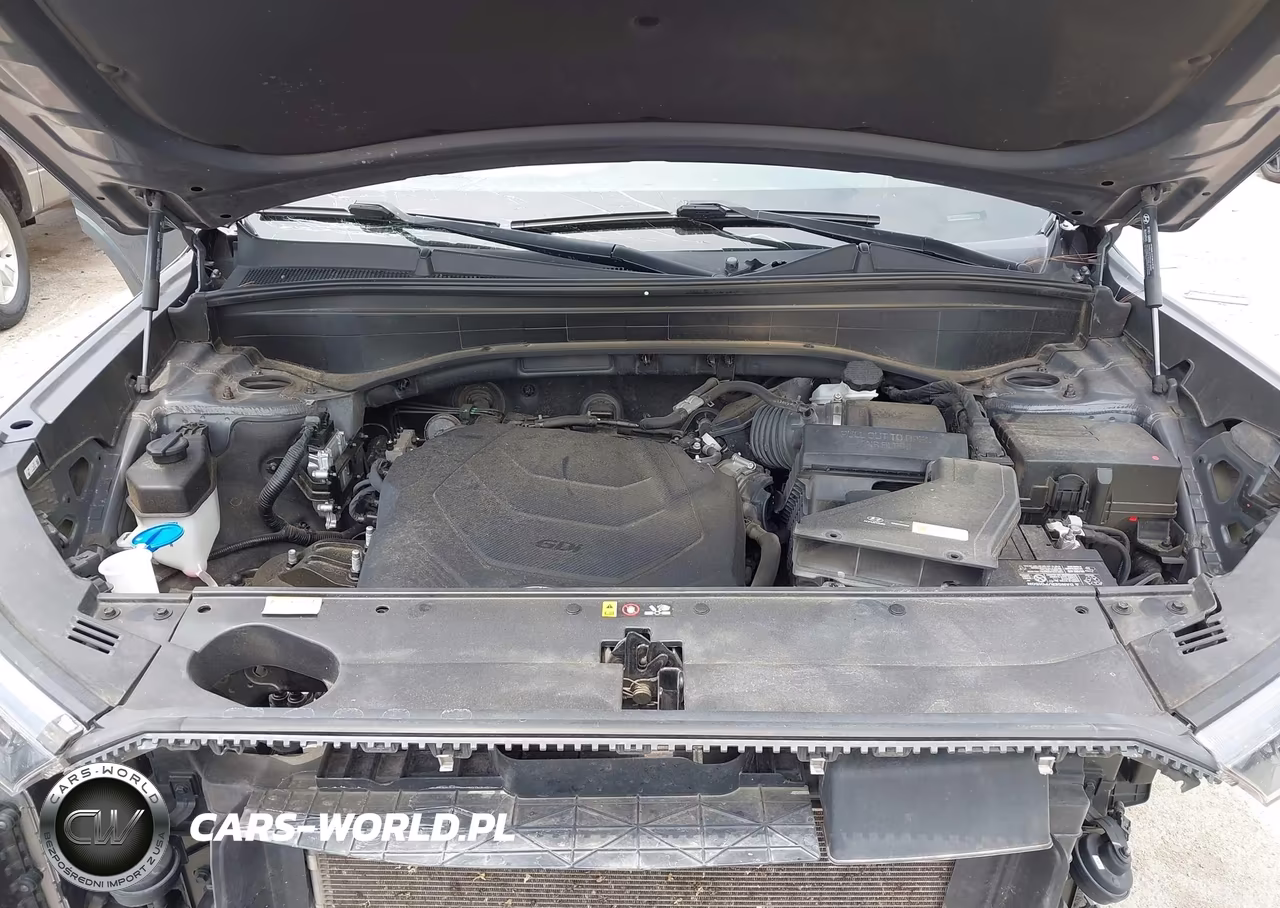2022 Hyundai Palisade Calligraphy VIN:KM8R7DHE9NU362818 - 10
