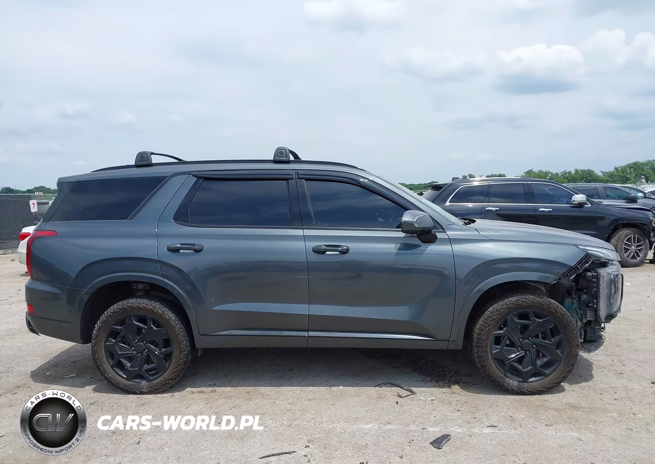 2022 Hyundai Palisade Calligraphy VIN:KM8R7DHE9NU362818 - 13
