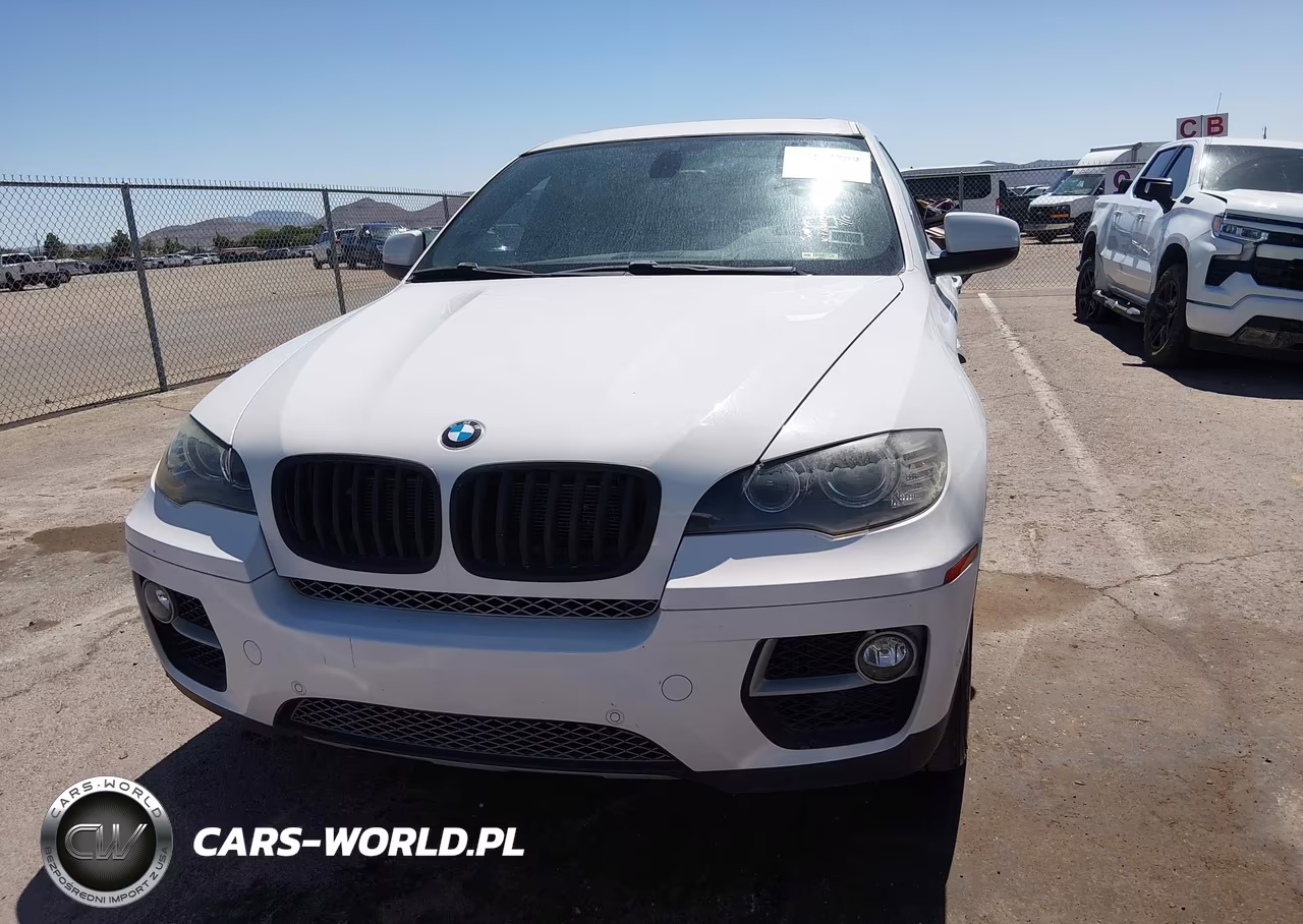 2013 BMW X6 VIN:5UXFG8C55DL592350 - 13