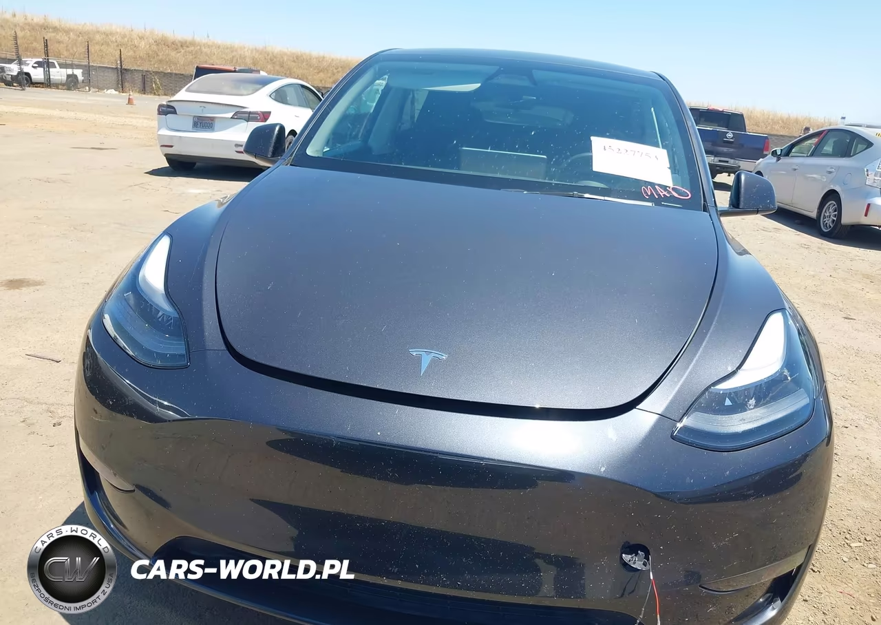 2025 Tesla Model Y Long Range Dual Motor All-Wheel Drive VIN:7SAYGDEE1SF318310 - 12