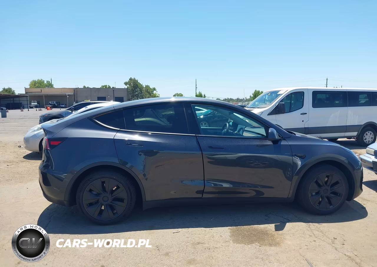 2025 Tesla Model Y Long Range Dual Motor All-Wheel Drive VIN:7SAYGDEE1SF318310 - 13