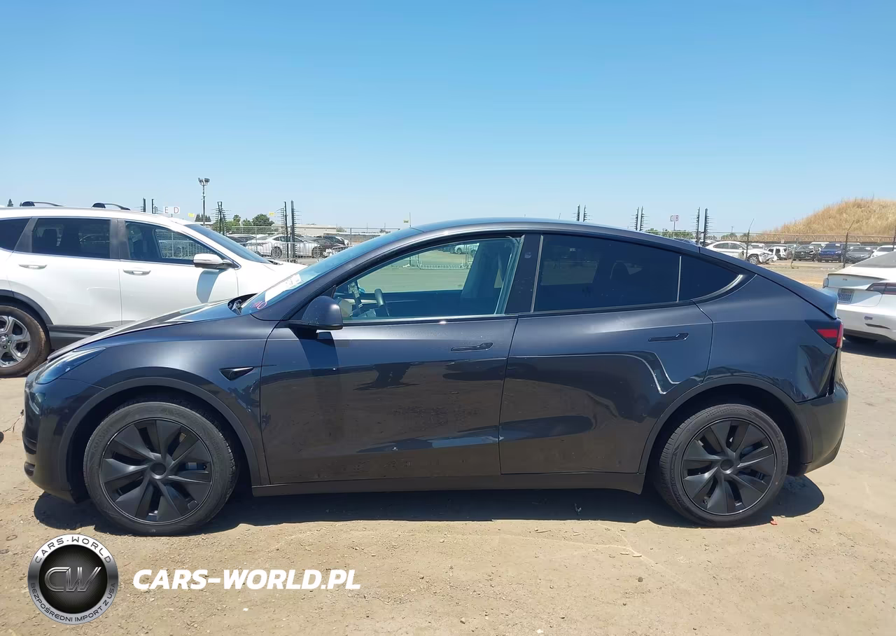2025 Tesla Model Y Long Range Dual Motor All-Wheel Drive VIN:7SAYGDEE1SF318310 - 14