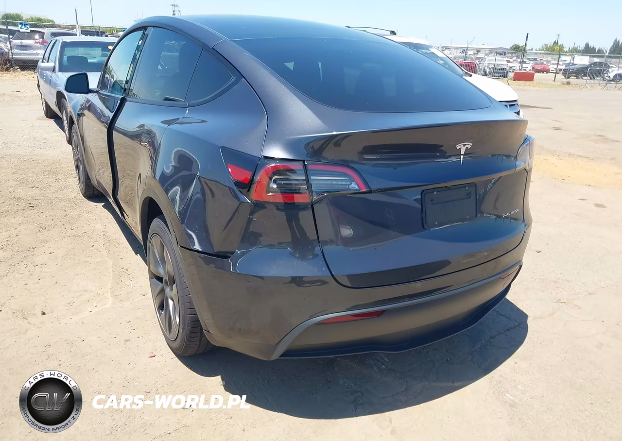 2025 Tesla Model Y Long Range Dual Motor All-Wheel Drive VIN:7SAYGDEE1SF318310 - 3