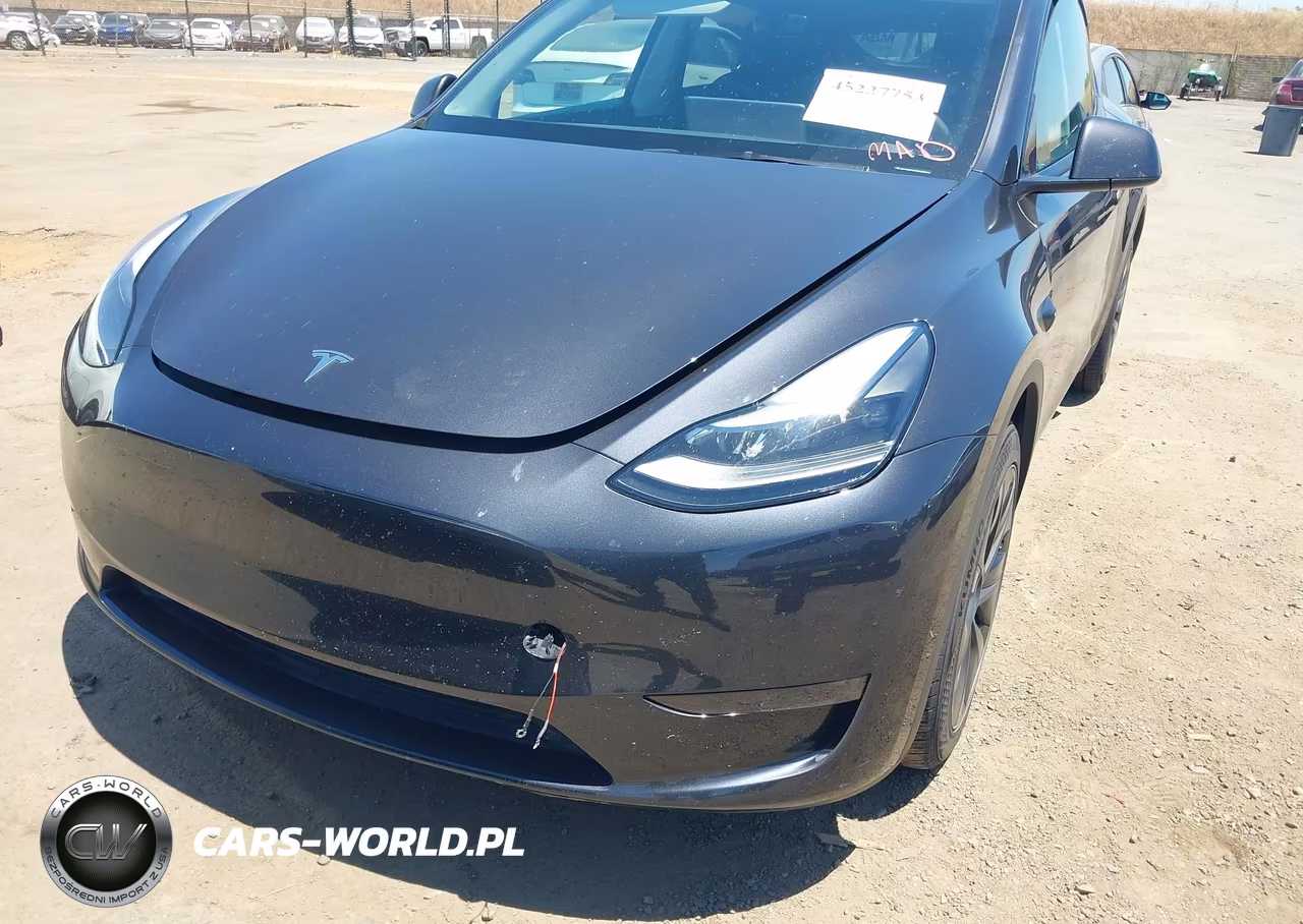 2025 Tesla Model Y Long Range Dual Motor All-Wheel Drive VIN:7SAYGDEE1SF318310 - 6