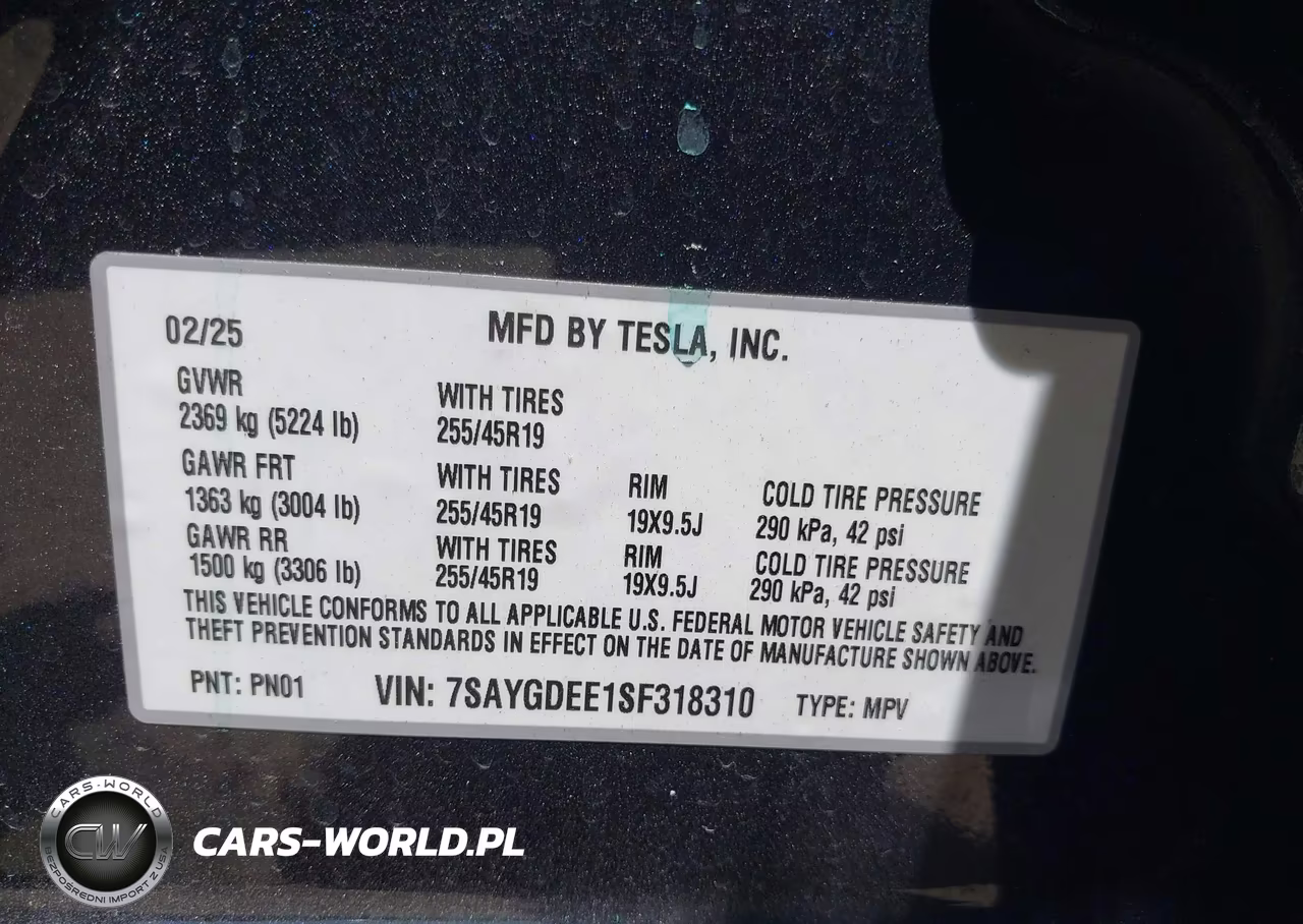2025 Tesla Model Y Long Range Dual Motor All-Wheel Drive VIN:7SAYGDEE1SF318310 - 9