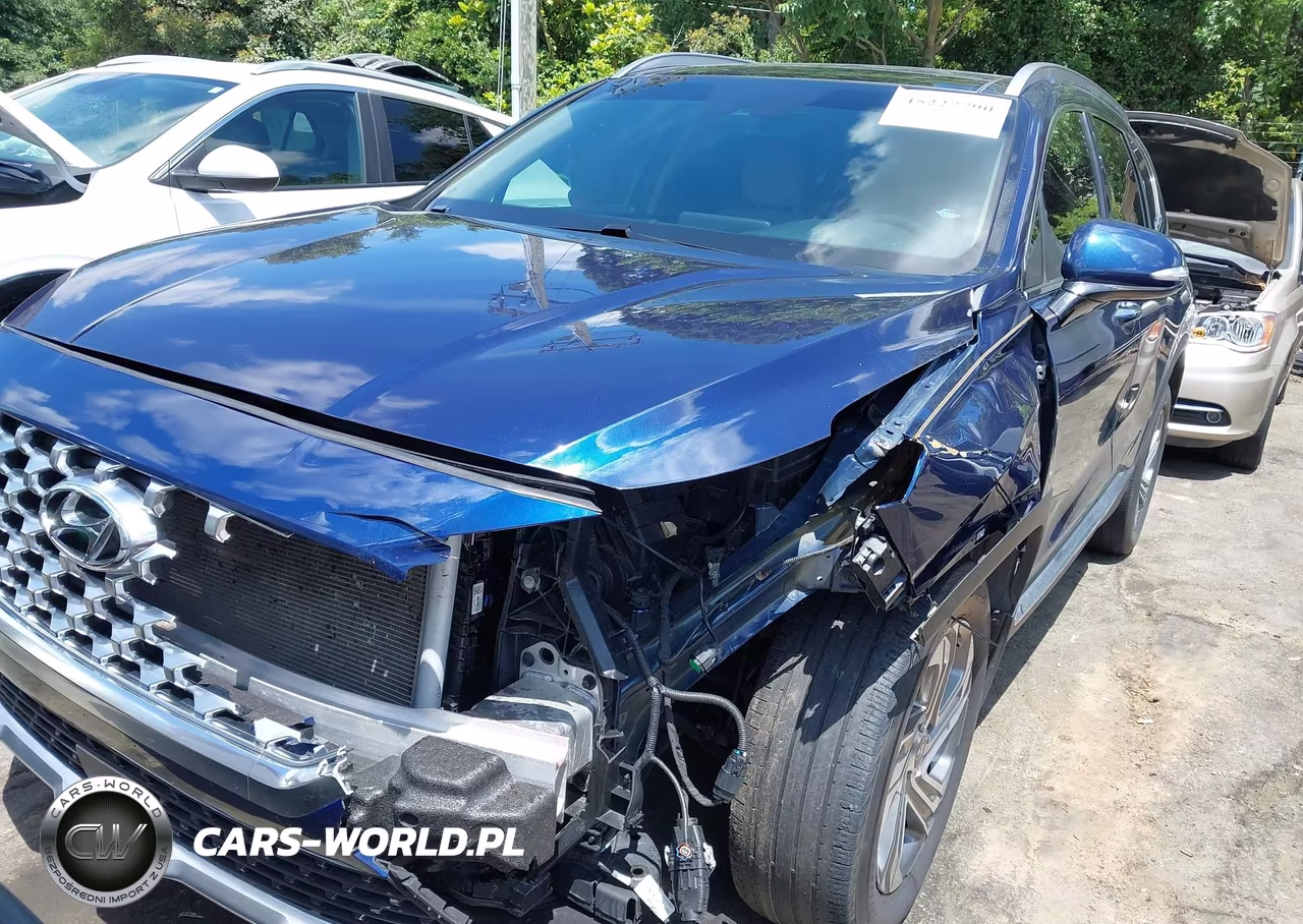 2021 Hyundai Santa Fe Sel VIN:5NMS34AJ7MH341125 - 12