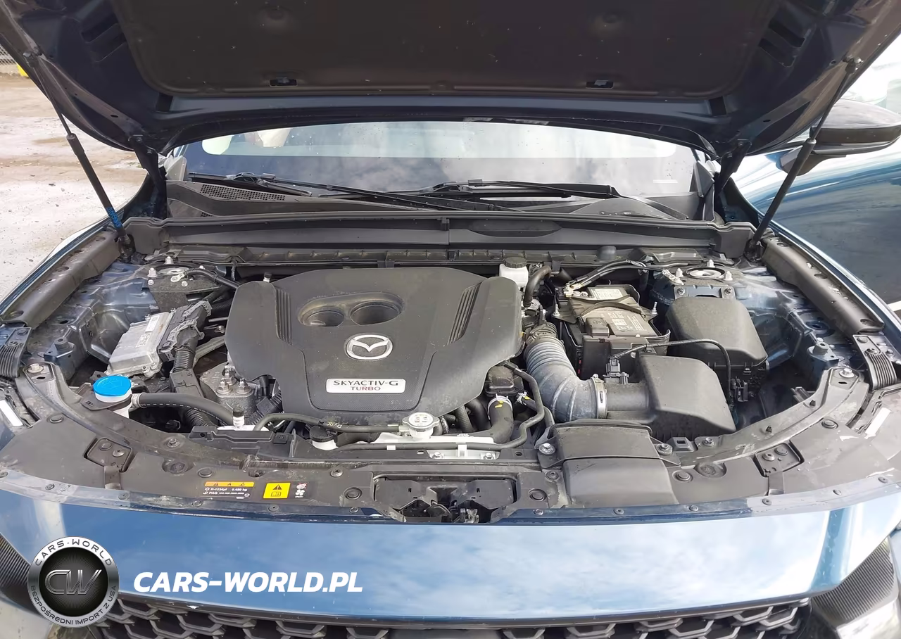 2024 Mazda Cx-50 2.5 Turbo VIN:7MMVABXY0RN233970 - 10