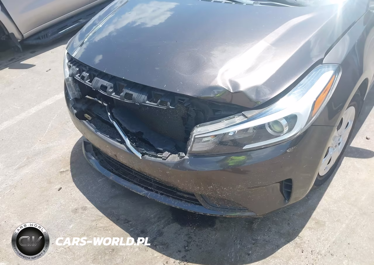 2017 Kia Forte Lx VIN:3KPFL4A71HE131655 - 13