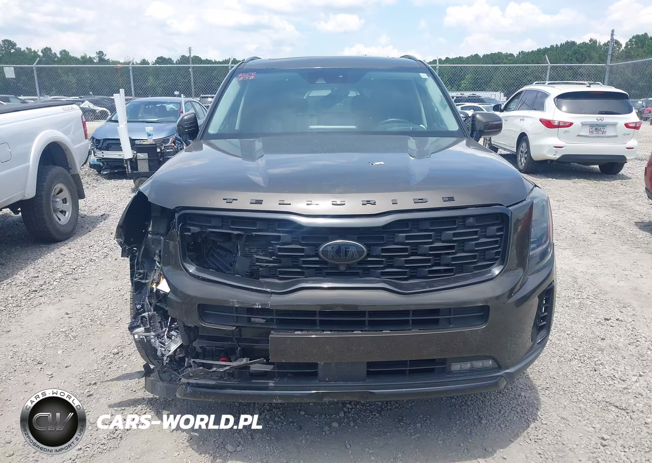 2021 Kia Telluride Sx VIN:5XYP5DHC6MG112789 - 12