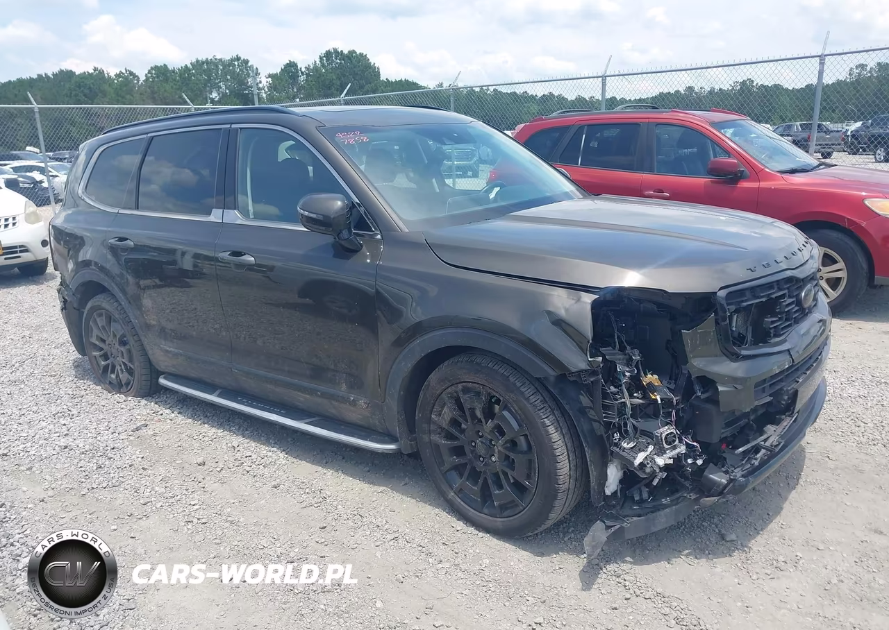 2021 Kia Telluride Sx VIN:5XYP5DHC6MG112789 - 13