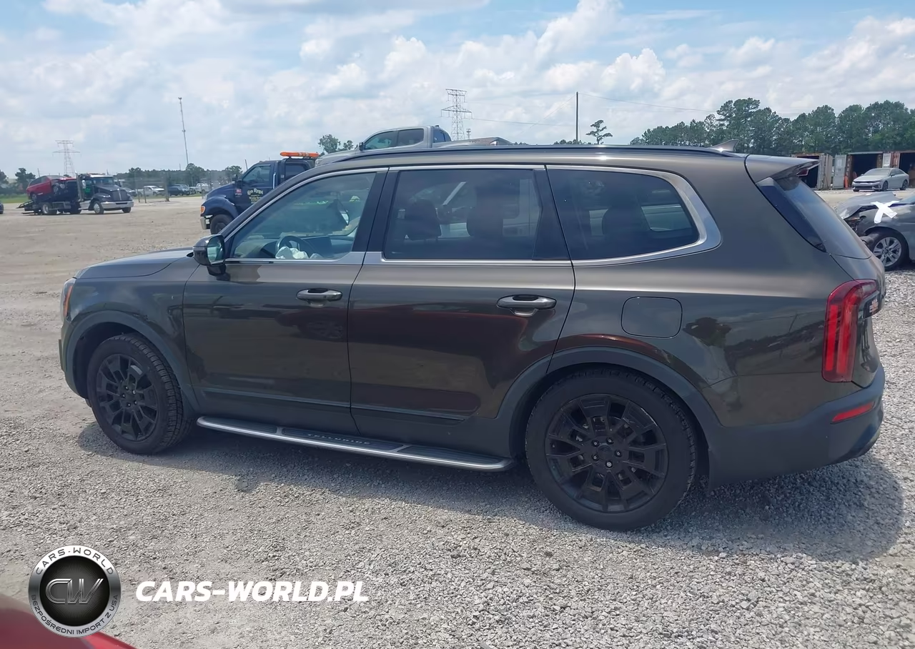 2021 Kia Telluride Sx VIN:5XYP5DHC6MG112789 - 14