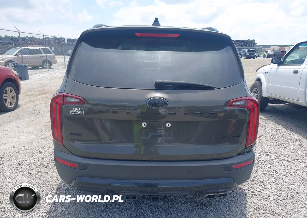 2021 Kia Telluride Sx VIN:5XYP5DHC6MG112789 - 16