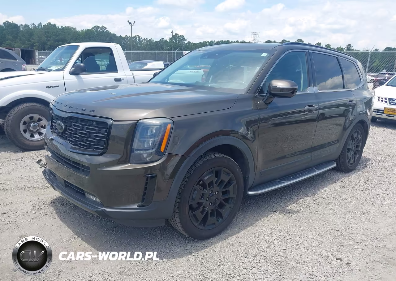 2021 Kia Telluride Sx VIN:5XYP5DHC6MG112789 - 2