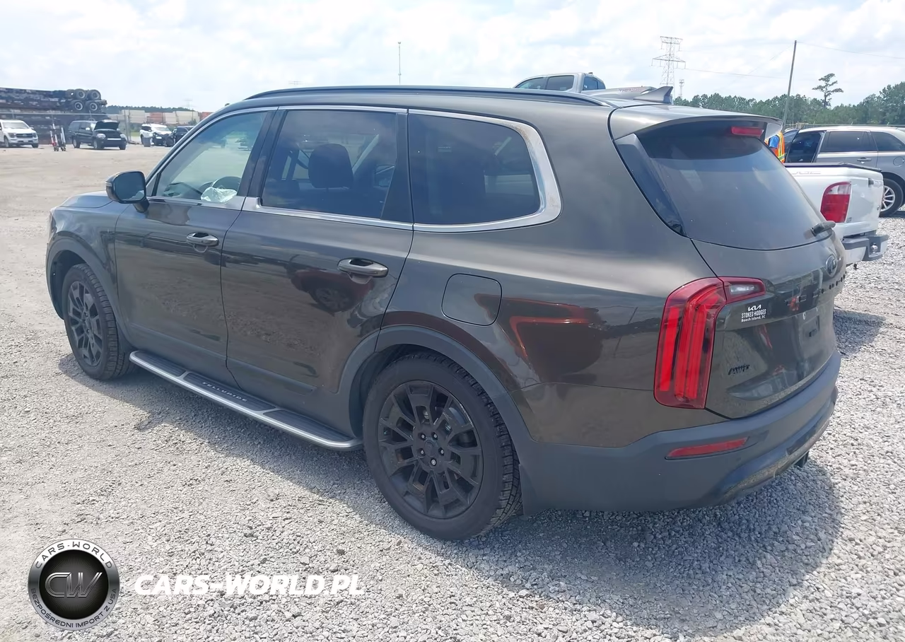 2021 Kia Telluride Sx VIN:5XYP5DHC6MG112789 - 3