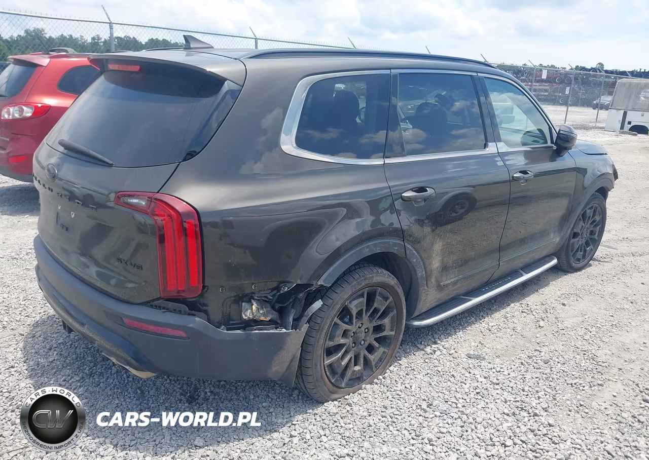 2021 Kia Telluride Sx VIN:5XYP5DHC6MG112789 - 4