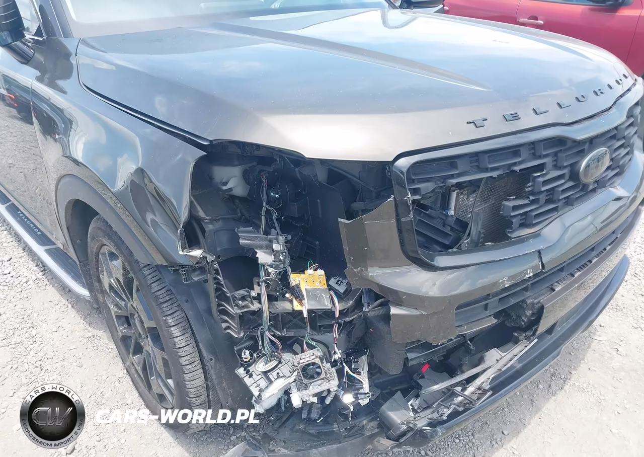 2021 Kia Telluride Sx VIN:5XYP5DHC6MG112789 - 6