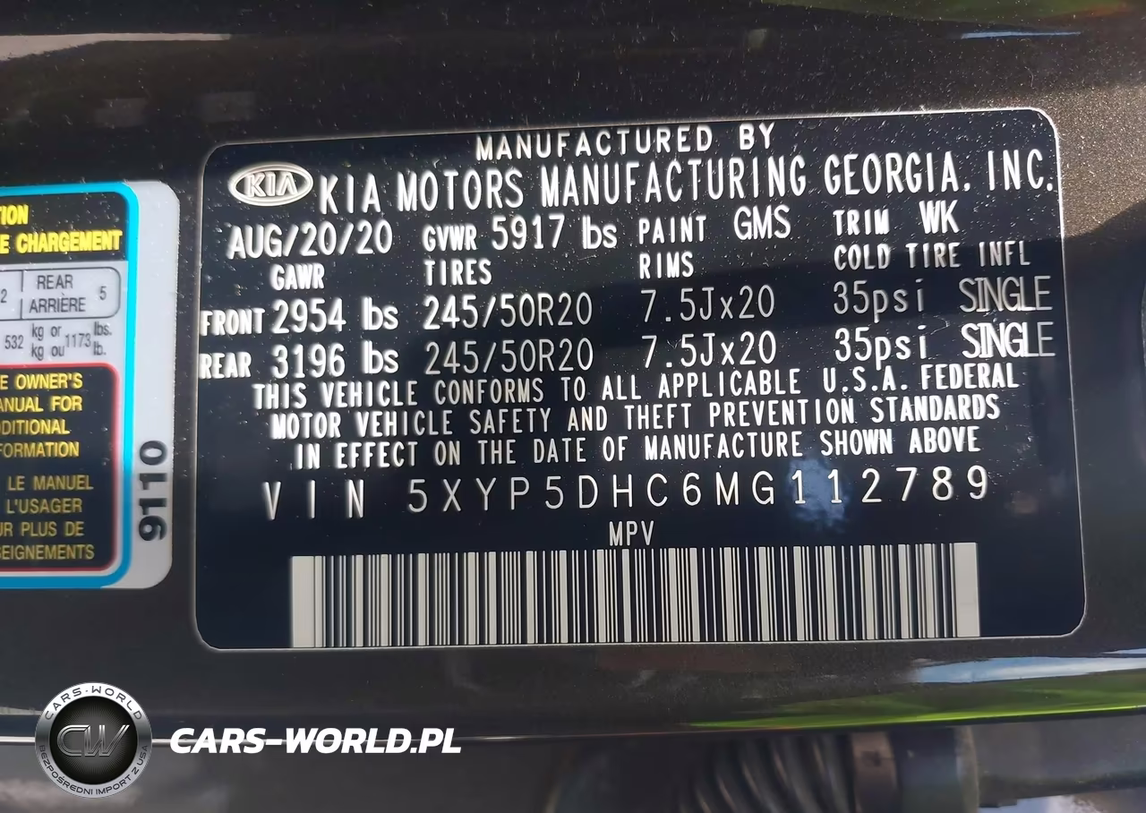 2021 Kia Telluride Sx VIN:5XYP5DHC6MG112789 - 9