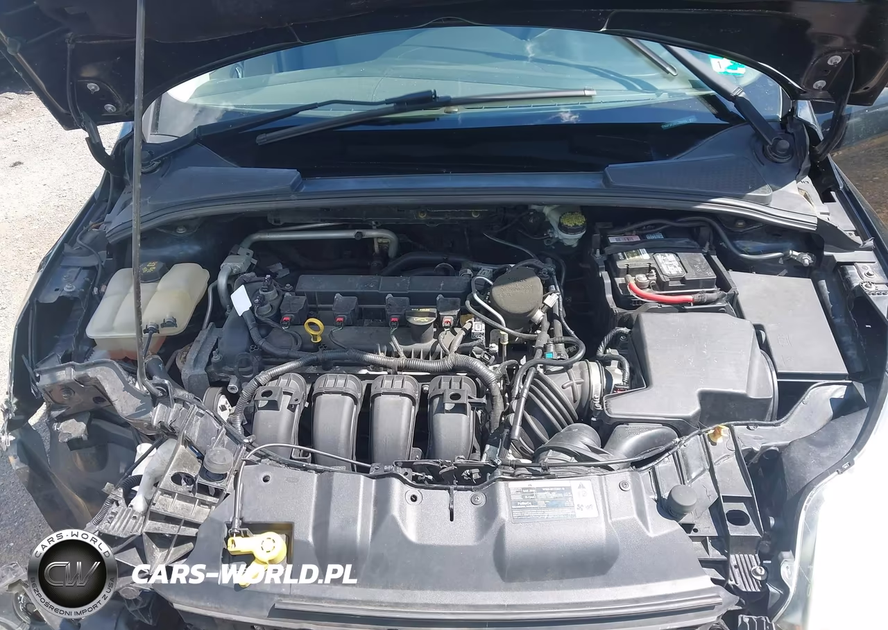 2014 Ford Focus Se VIN:1FADP3K26EL200423 - 10