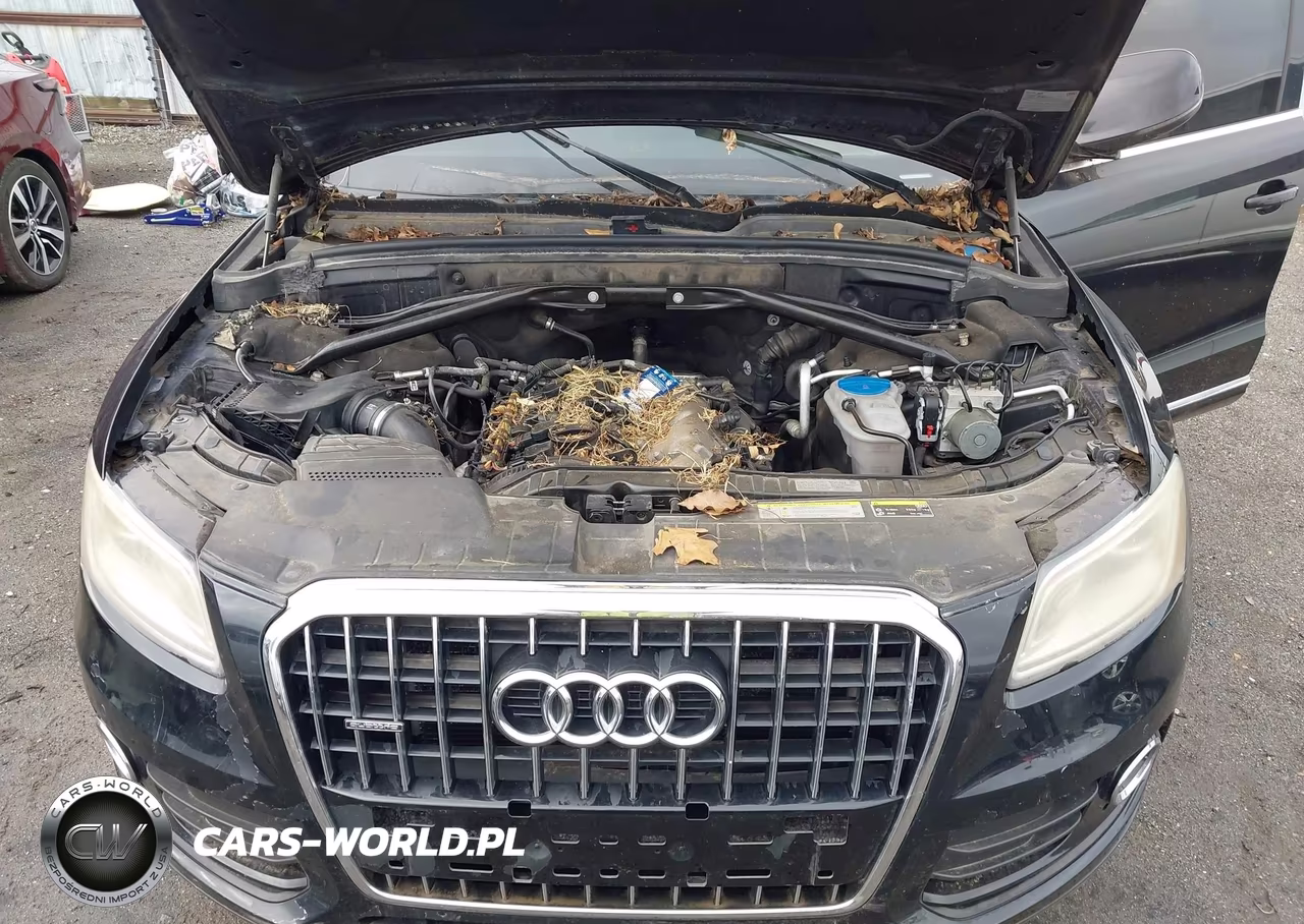 2013 Audi Q5 2.0T Premium VIN:WA1LFAFP5DA011804 - 10