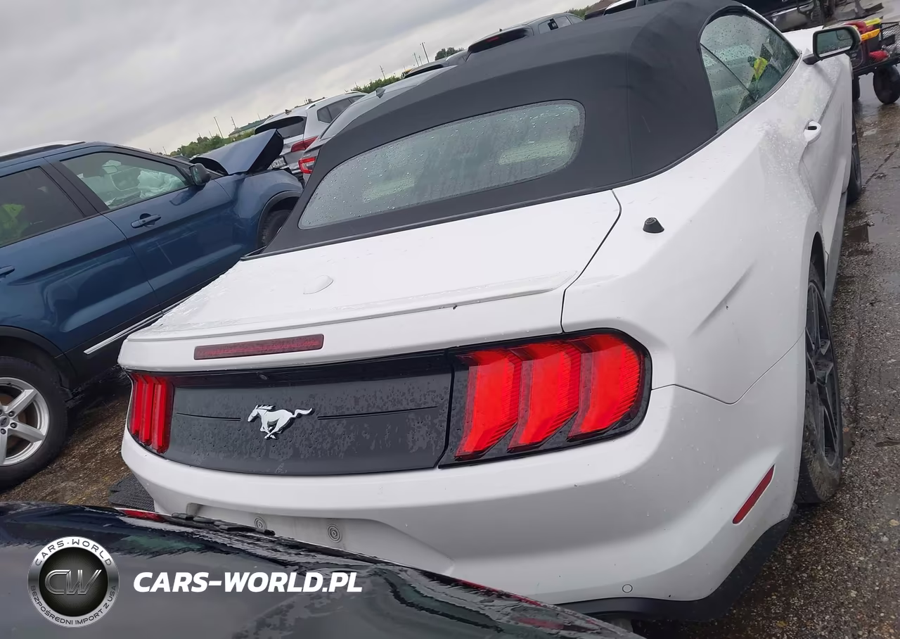 2020 Ford Mustang Ecoboost Premium VIN:1FATP8UH2L5131743 - 16