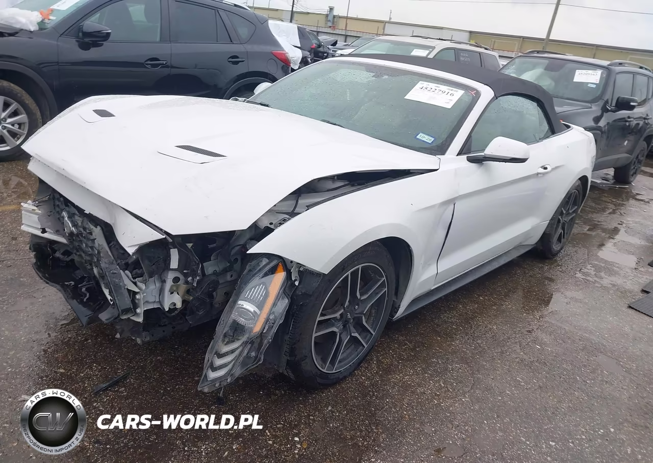 2020 Ford Mustang Ecoboost Premium VIN:1FATP8UH2L5131743 - 2